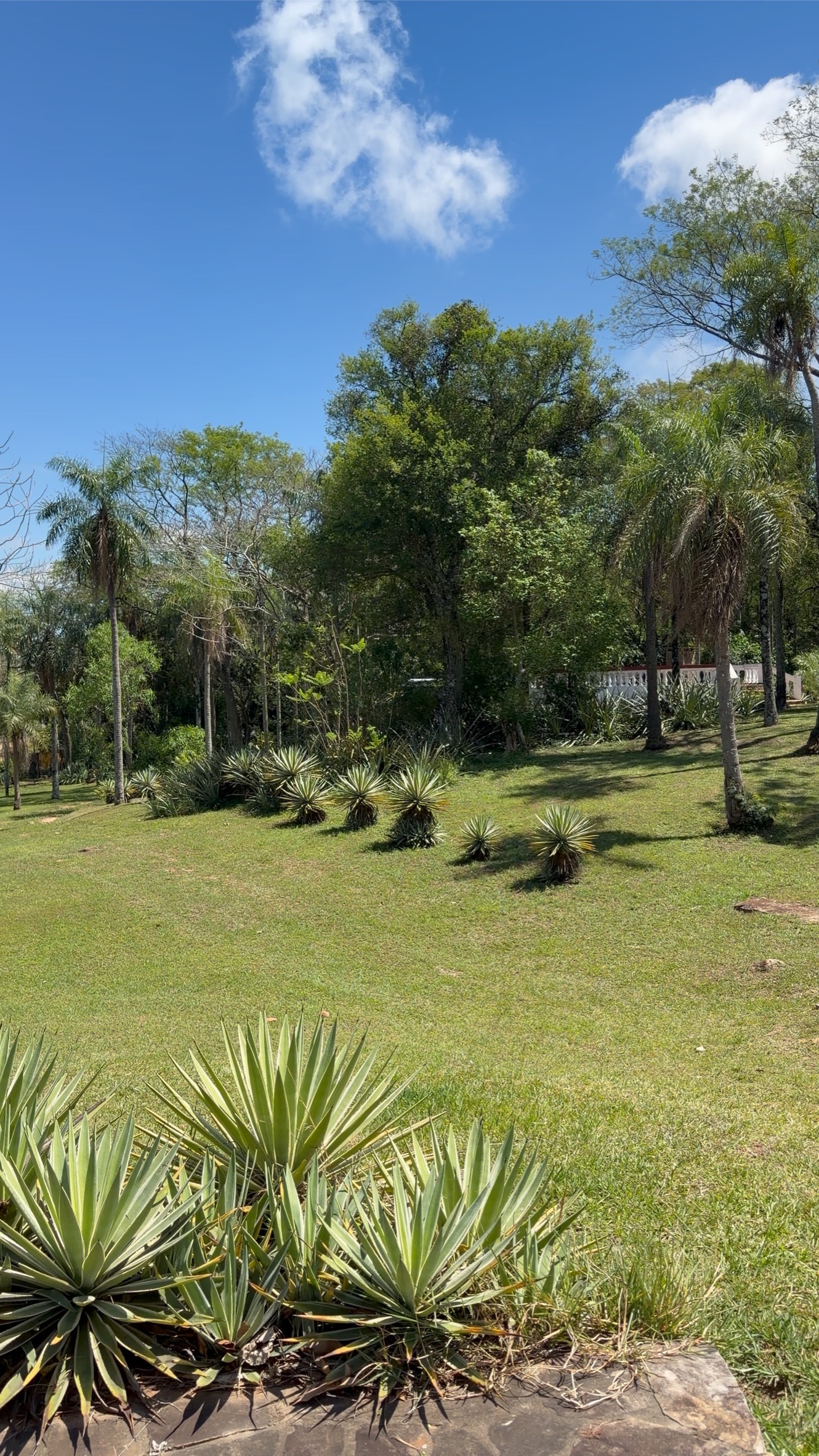 Garten im Hochformat